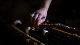 PB 2 Raphaël Languillat