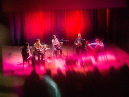 PaulPape©_Copyright_Projekt 81NaxosHallenkonzerte-023-min Raphaël Languillat